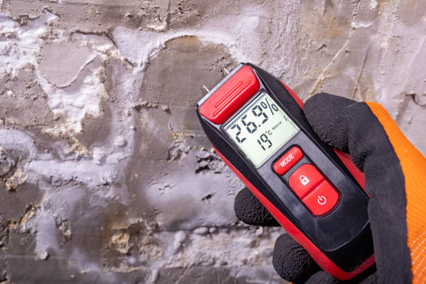Best Residential Mold Remediation in Bunkie, LA