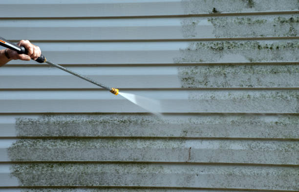 Best Mold Testing and Inspection Services in Bunkie, LA