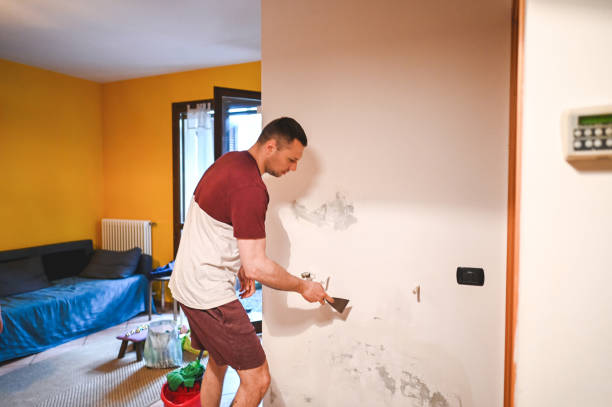 Best Post-Remediation Services in Bunkie, LA